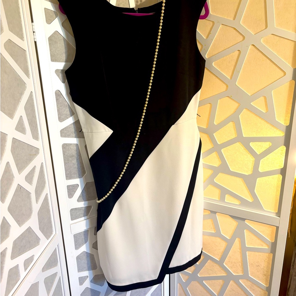 Elegant Black and White Dress